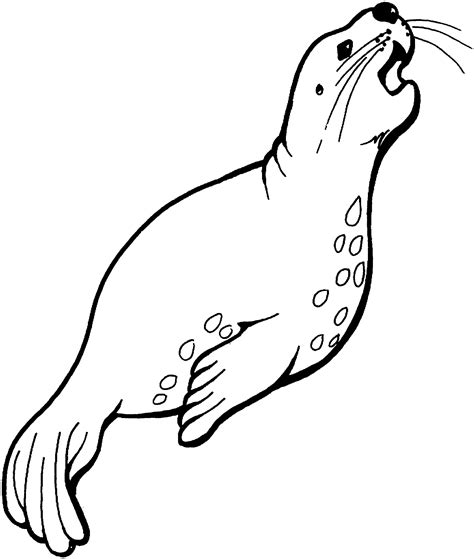 Seal Coloring Page Coloring Home