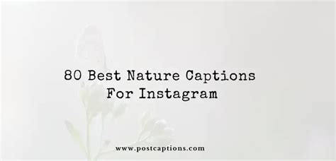 80 Best Nature Captions For Instagram