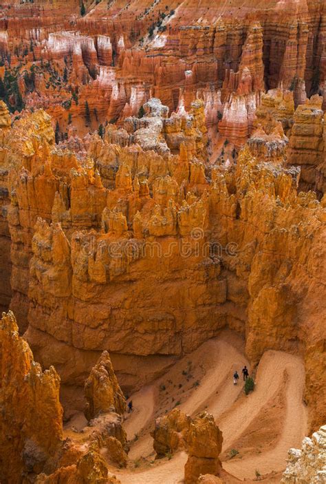 Bryce Canyon Panorama In The Us Stock Image Image Of