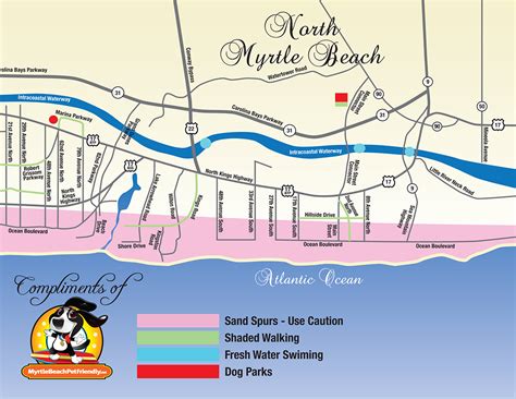 Academy animal hospital darbojas veterinārārsti un dzīvnieku klīnikas aktivitātēs. North Myrtle Beach Map | Gadgets 2018