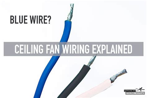 What Is The Blue Wire On A Ceiling Fan Ceiling Fan Wiring Explained