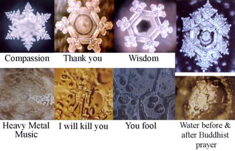 Dr Emotos Amazing Water Crystal Photosnikkenergy ~ Its All Just Energy