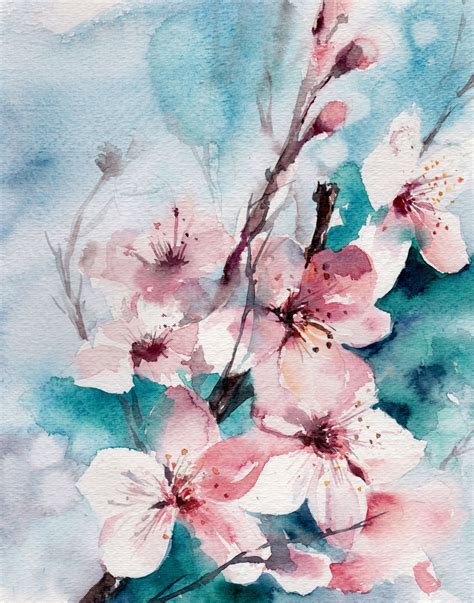 Cherry Blossom Watercolor At Getdrawings Free Download