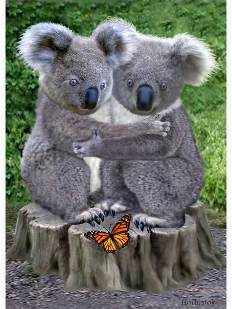Baby Koala Bear Huggies Metal Print