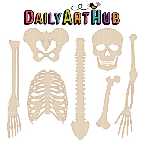 Skeleton Bones Clip Art Set Daily Art Hub Graphics Alphabets And Svg