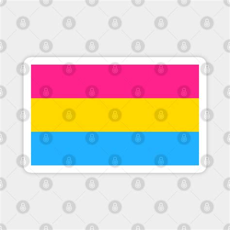 Pansexuality Pride Flag Lgbtq Rights Gift Pansexual Flag Magnet