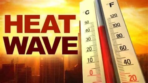Heat Wave Pushes Up Patients Count At Govt Health Hubs In Palamu