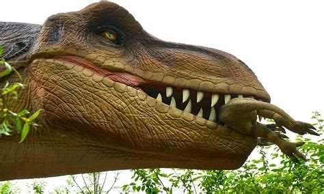 Actualizar Imagem Perdidos No Vale Dos Dinossauros Br Thptnganamst Edu Vn