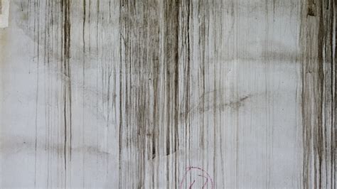 White paper texture background sheet vintage parchment. Free Images : grungy, white, texture, plank, floor, wall ...