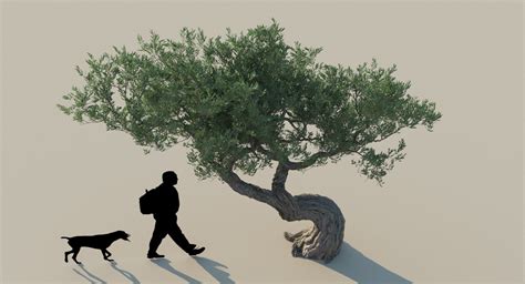 Olive Tree 3d Max