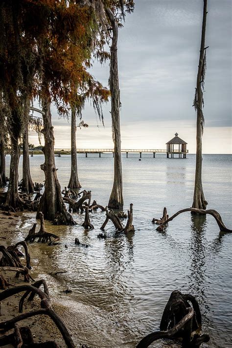 Lake Pontchartrain Uncropped Photograph By Paul Freidlund