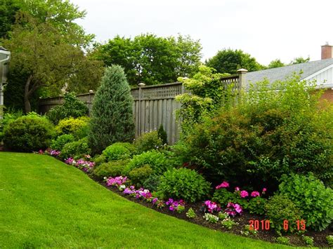 Plants For Privacy Fence Living Fenceshow To Create Privacy With
