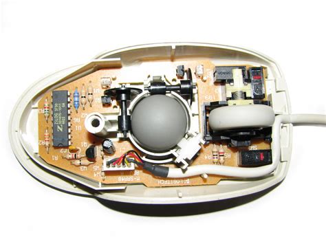 Parts Of A Mouse Diagram