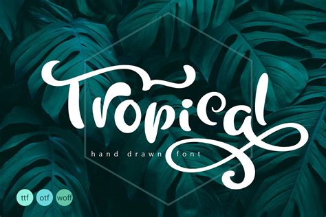 Tropical Summer Font Stunning Display Fonts ~ Creative Market