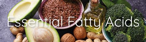 Essential Fatty Acids Supplements Shop