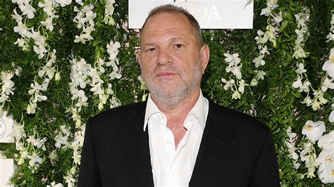 harvey weinstein issues apology after sexual harassment allegations hello