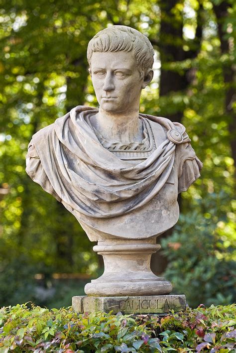 Roman Emperor Caligula Photograph By Fernando Barozza