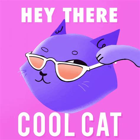 Cool Cat Hello GIF By GIPHY Studios Originals Find Share On GIPHY
