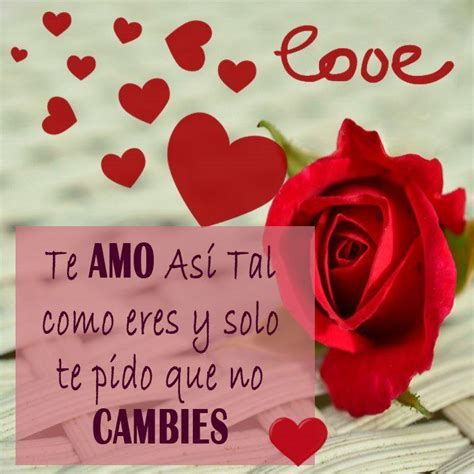 Rosas Rojas Con Mensajes De Amor Te Amo Frases De Rosas Frases