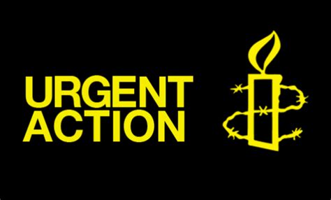Amnesty Releases An Urgent Action For Ola Al Qaradawis Hunger Strike Free Ola And Hosam