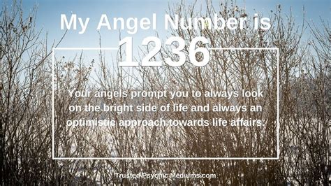 Angel Number 1236 Is Powerful Discover Why
