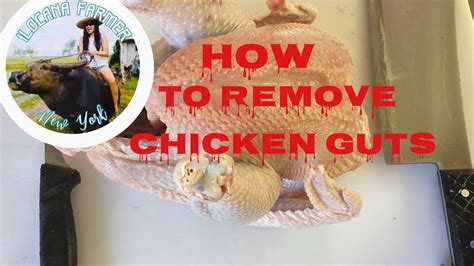 How To Remove Chicken Gutschicken Guts Recipe Youtube