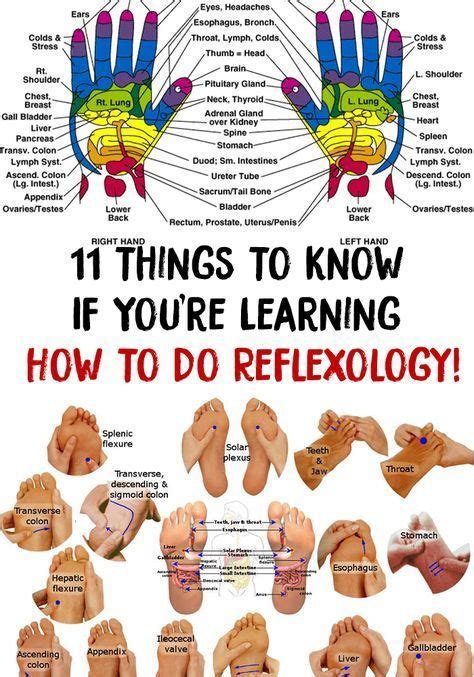 Learning 11 Things To Know If Youre Learning How To Do Reflexology Reflexology