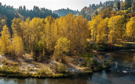 Autumn Forest Trees River Landscape Wallpaper 2560x1600 176493