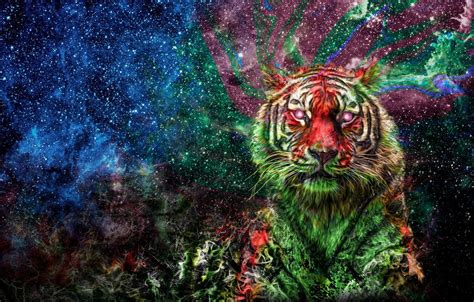 Colored Tiger Wallpapers Wallpaper Cave