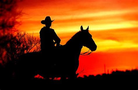 Cowboy Sunset Cowboy Sunset Pferde Silhouette Schattenbilder