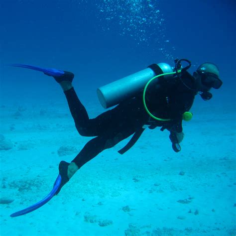 Professional Diving