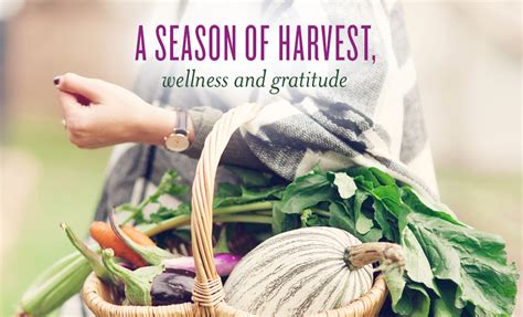 A Season Of Harvest Wellness And Gratitude Young Living Canada Blog