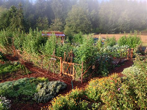 Permaculture Gardens