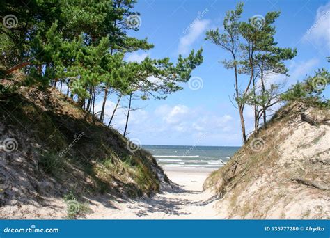 Beach On The Baltic Sea Poland Stock Photo Image Of Seagull Surge