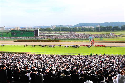 23 :名無しのハムスター2021年05月31日 13:31 id：kh4zr3kb0 何のためにいろんなイベントが無観客だの何だの言うてるか欠片も理解してなくて草も. JRA、ダービーまで無観客延長…毎年10万人以上観客集まる"競馬 ...