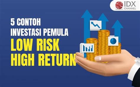 5 Contoh Investasi Low Risk High Return Yang Cocok Untuk Investor Pemula
