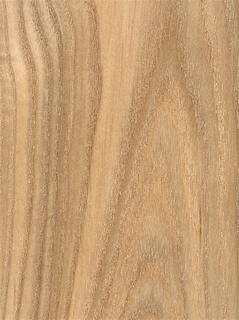 Black Ash The Wood Database Lumber Identification Hardwood