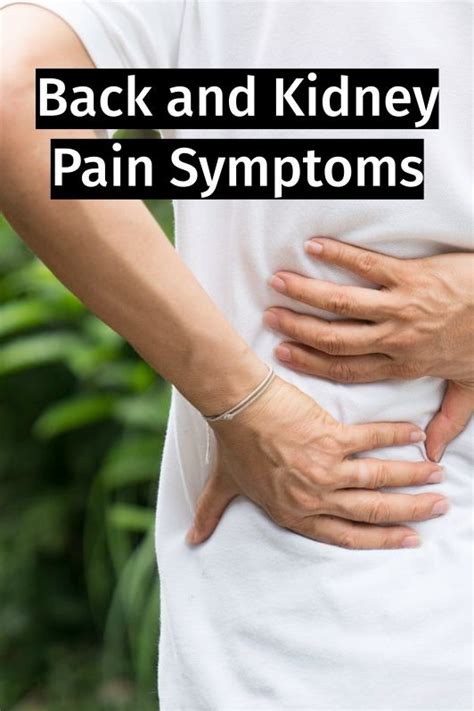 Back And Kidney Pain Symptoms Kidney Pain Kidney Pain Symptoms