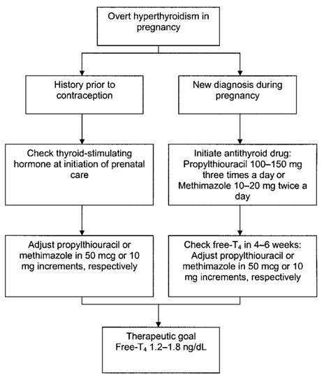 Hyperthyroidism And Pregnancy Cancer Therapy Advisor