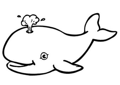 How to draw blue whale ðŸ‹ draw animals. Free Printable Whale Coloring Pages For Kids | Whale ...