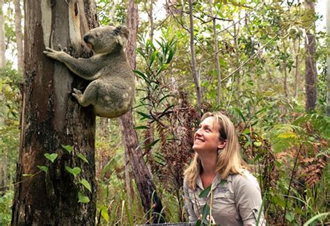 Australia Zoo Wildlife Hospital Attraction We Tour Australia