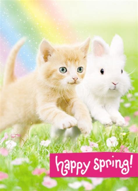 Avanti Cute Kitten And Bunny Easter Photo Greeting Card Cards
