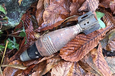Woman Finds Live ‘wwii Style Mortar Shell In Her Shed