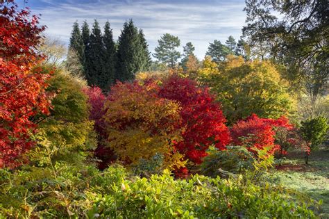 Best Autumn Walks In The Uk That Showcase The Prettiest Spots Of The