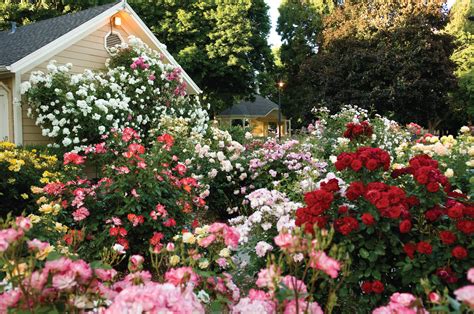 You can save a photo or video to a gallery from its detail page, or choose from your faves here. How to Grow a Modern-Day Cottage Garden