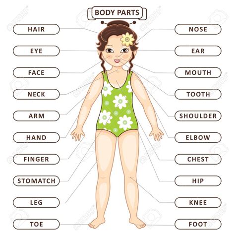 Educational puzzle game for kids: Pin di Puzzel