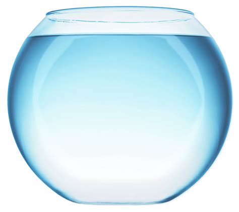 Fish Bowl With Water Transparent Png Stickpng