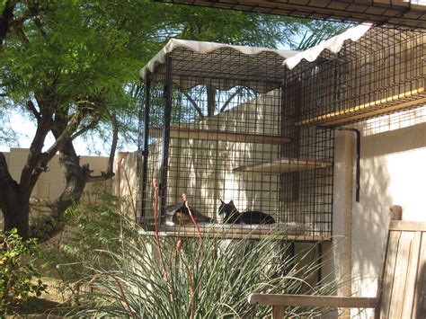 Outdoor Cat Enclosure Diy - Cat and Dog Lovers