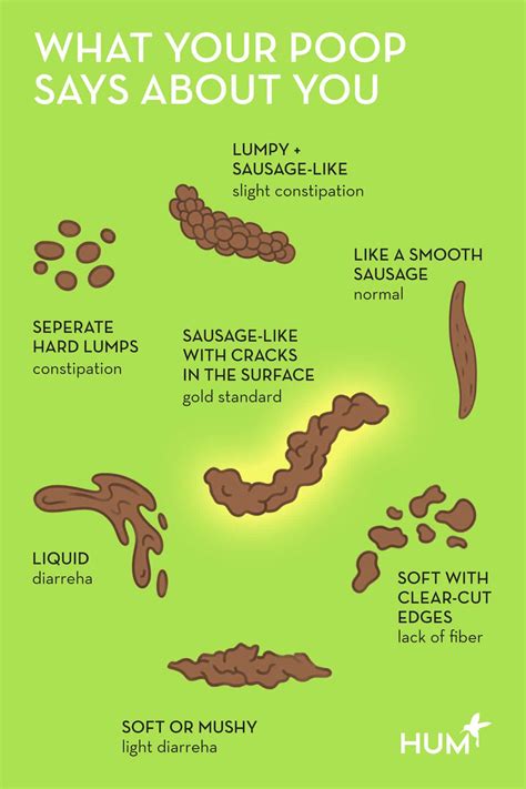 Different Ways To Poop