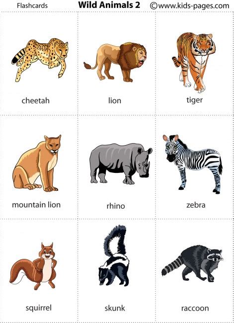 Animals Flashcards Its Fun To Learn